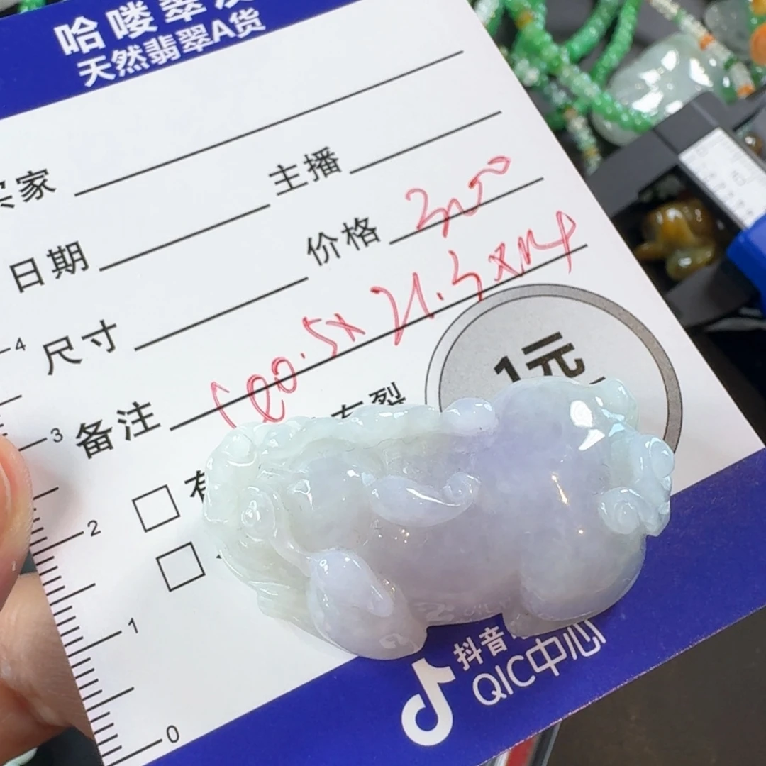 夏***人翡翠未镶嵌颈饰颈饰