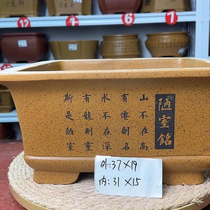 紫砂花盆蛇年大吉