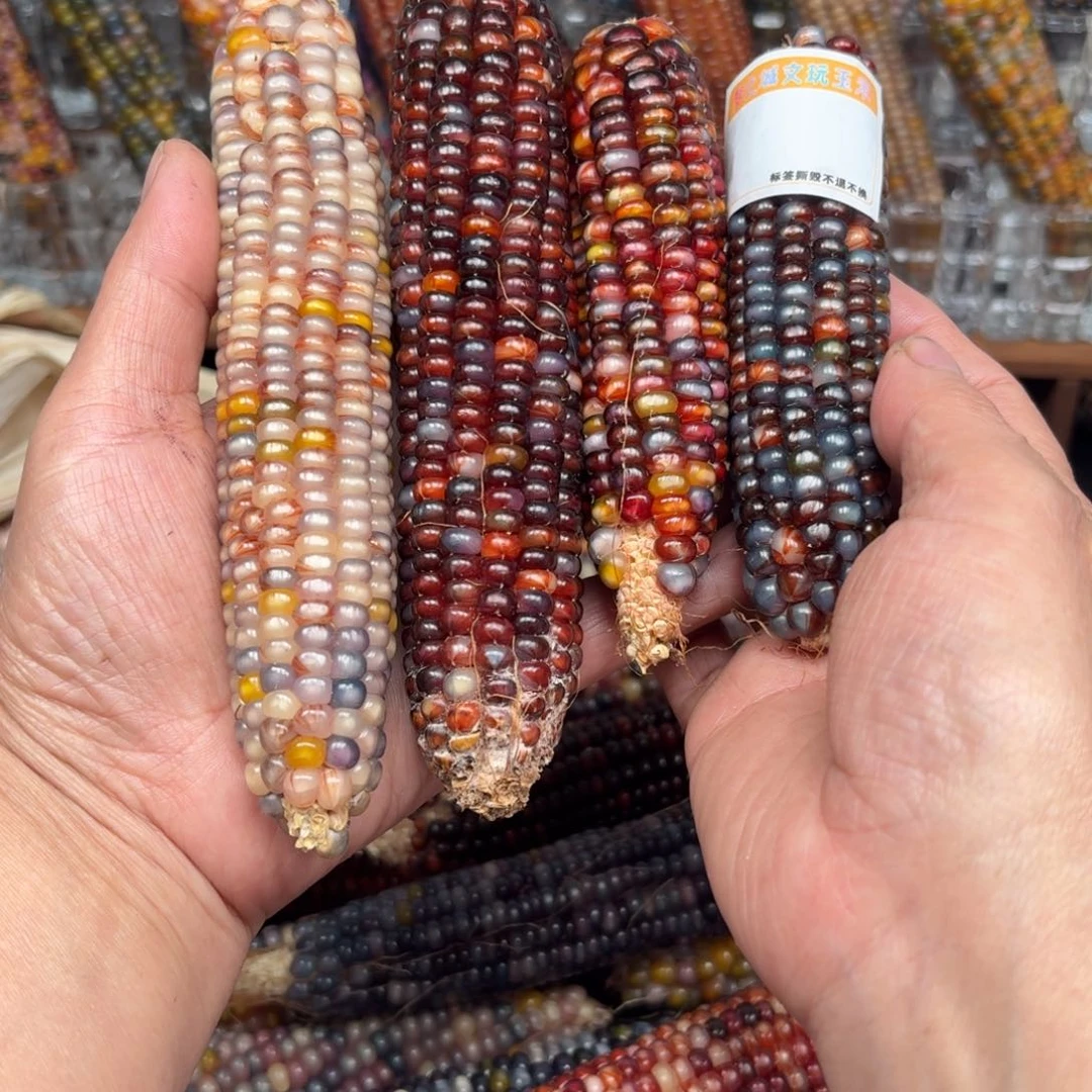 柏香籽/百香籽吊坠粥*?