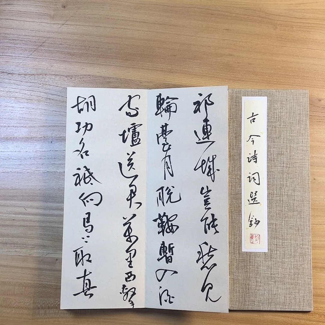 书法中书协会员作品