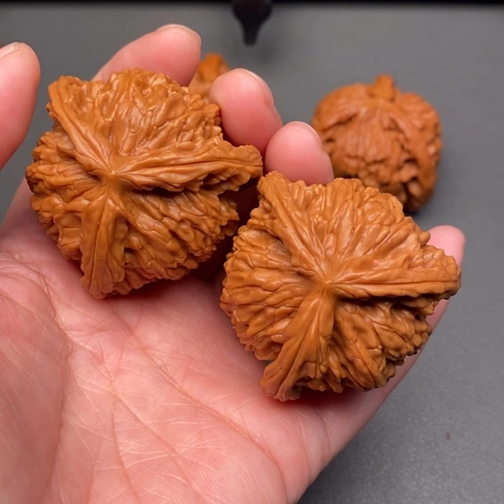 @***@木质类核桃核桃荷兰