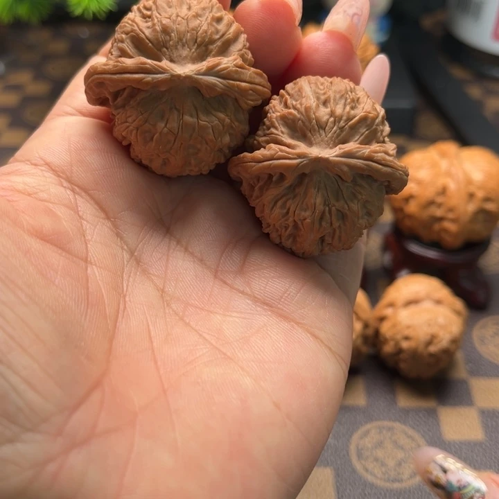 核桃37白狮子文玩