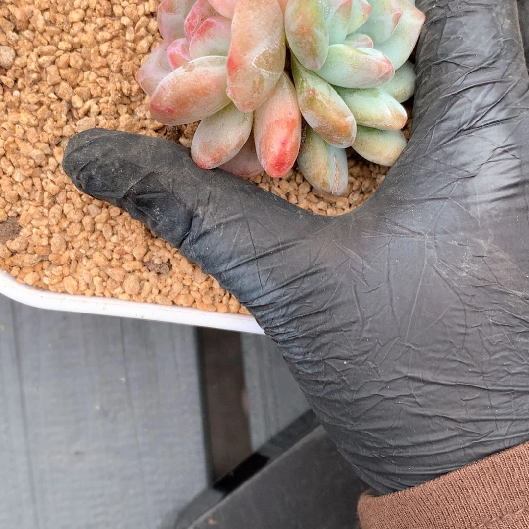 C447 售后范围：签收起7天内