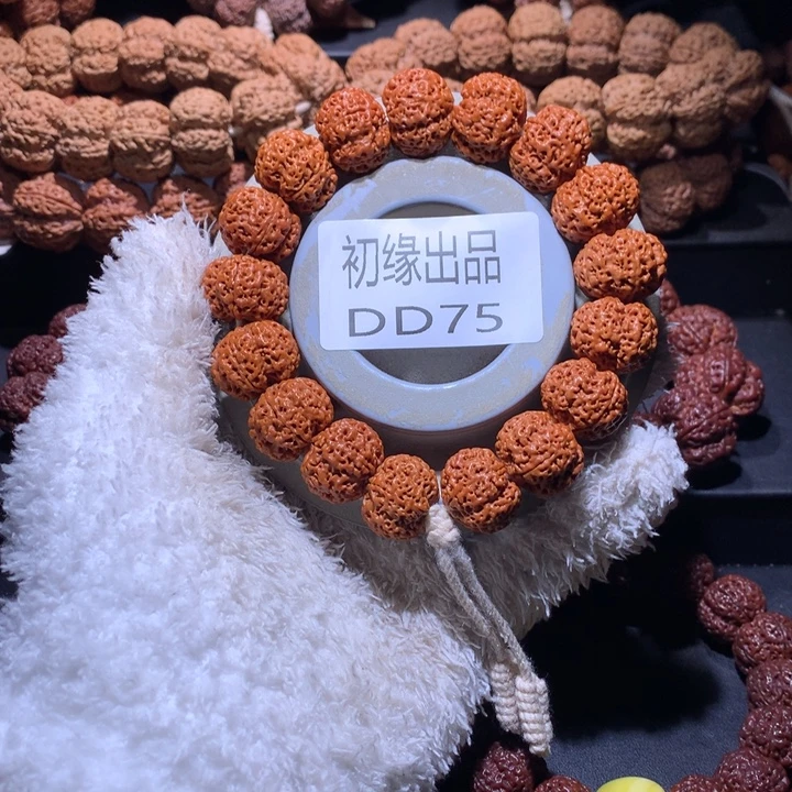 吊坠金刚菩提19尺梁天羽飞碟定制