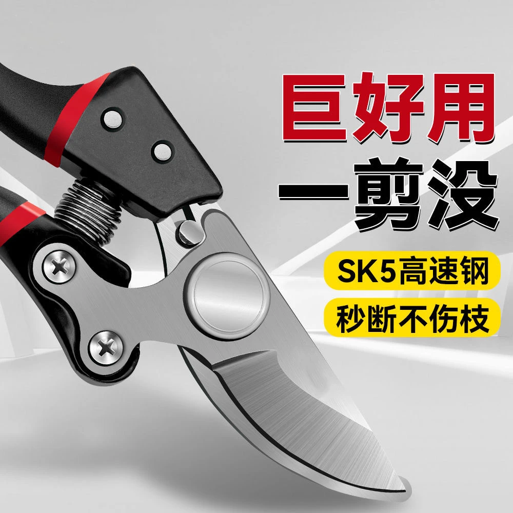 强力修枝剪专用修枝修剪原装树枝剪刀果树修花剪园林园艺工具省力