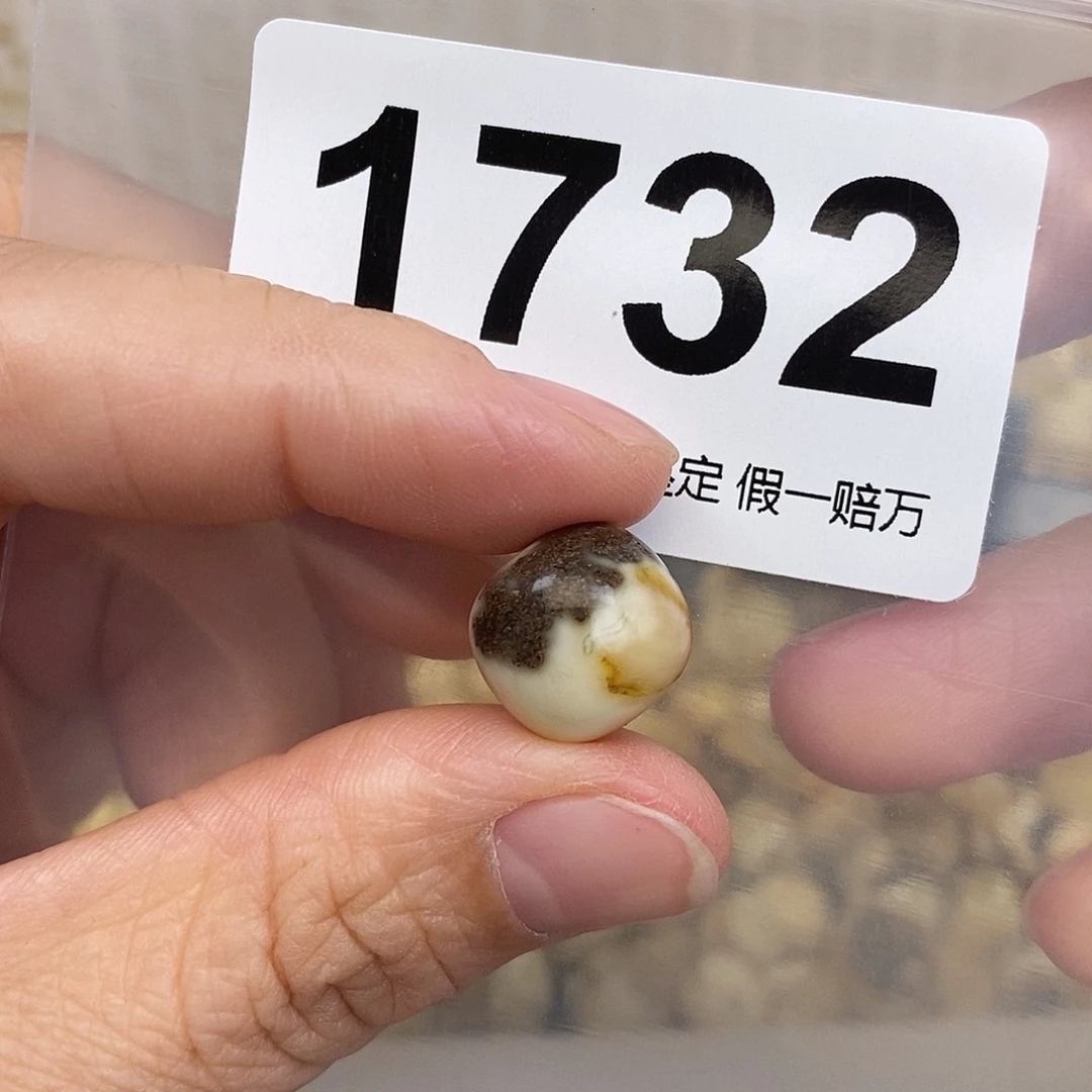 蜜蜡未镶嵌珠宝奇石13