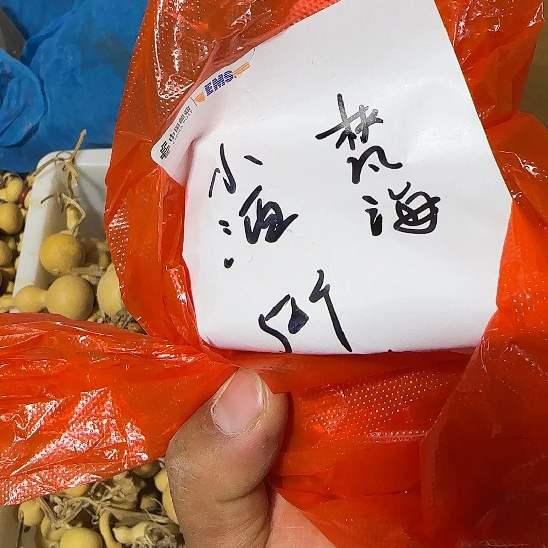 葫芦葫芦处理葫芦路小酒葫芦50