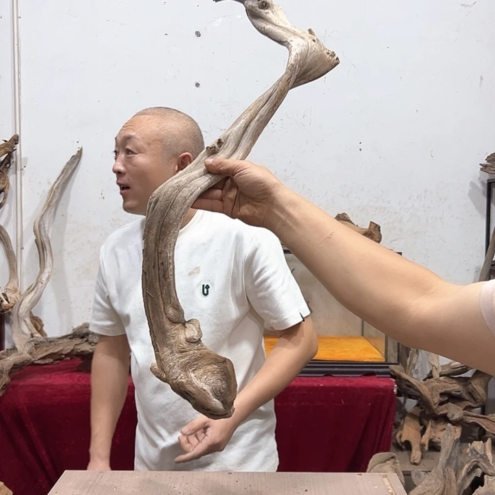柏木木****店我们都是好孩子呀我也是想