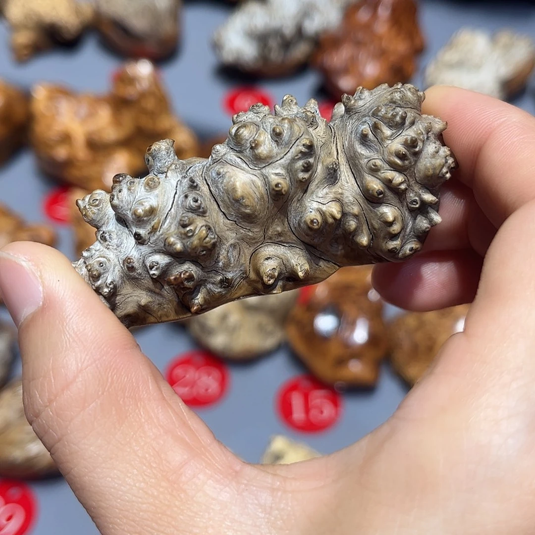 上***…太行崖柏陈华手把玩