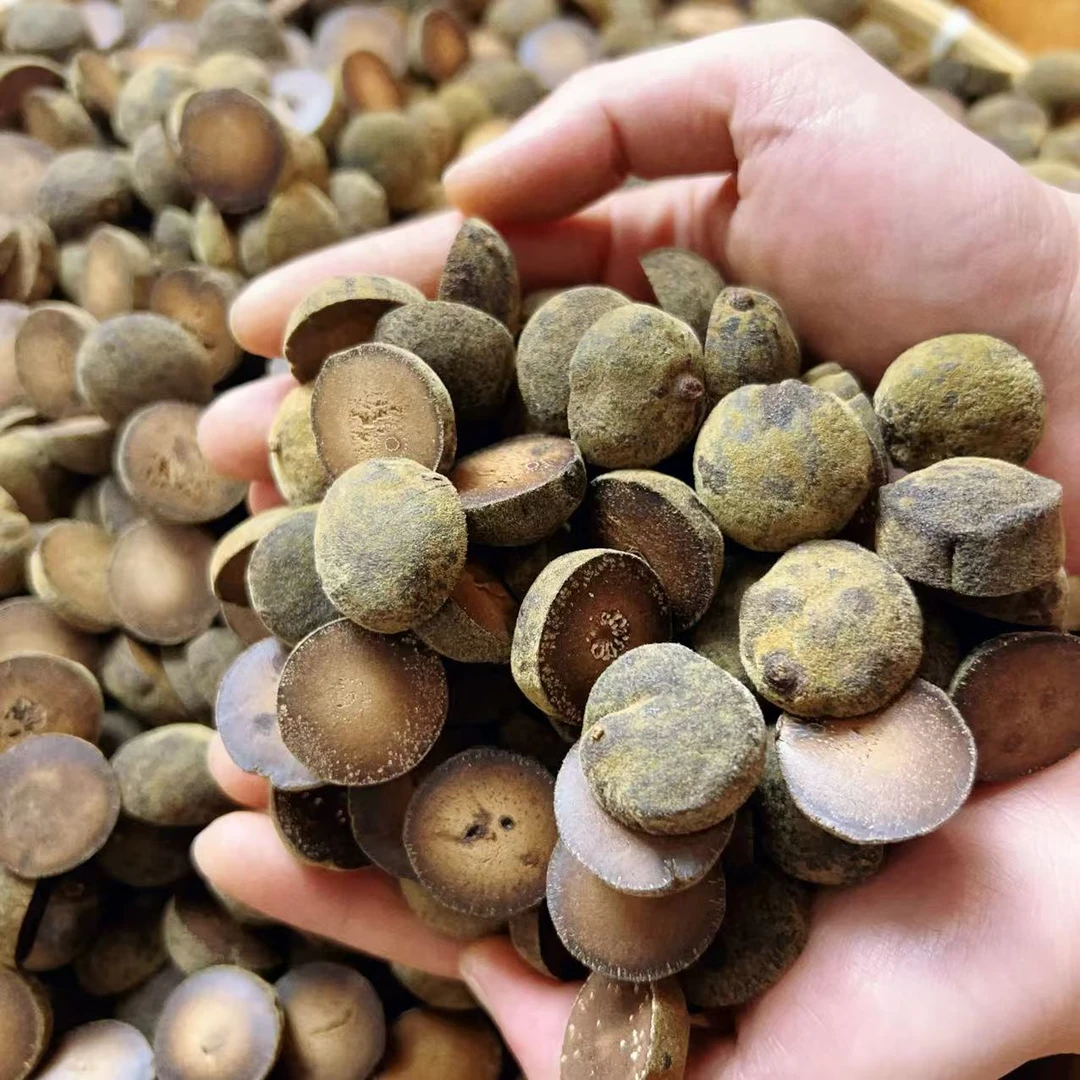 正宗化州橘红胎果头化橘红2015年陈藏正金毛果核心产区直发