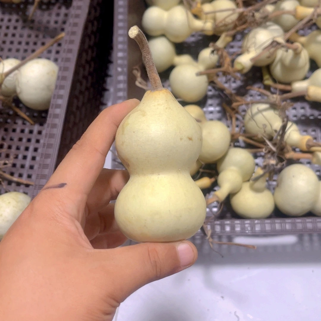 大***子感谢大哥支持兄弟，不保