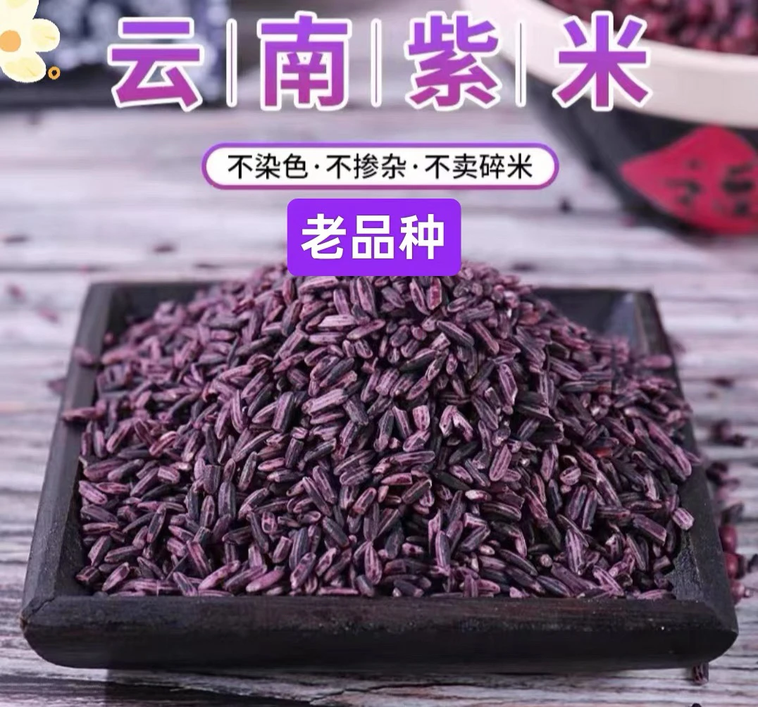 正宗云南梯田紫米紫糯米新米五谷杂粮粗粮