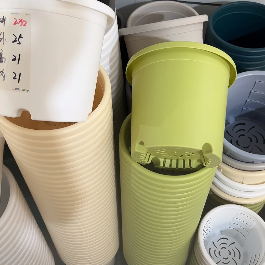 微瑕4号5个带托，果绿