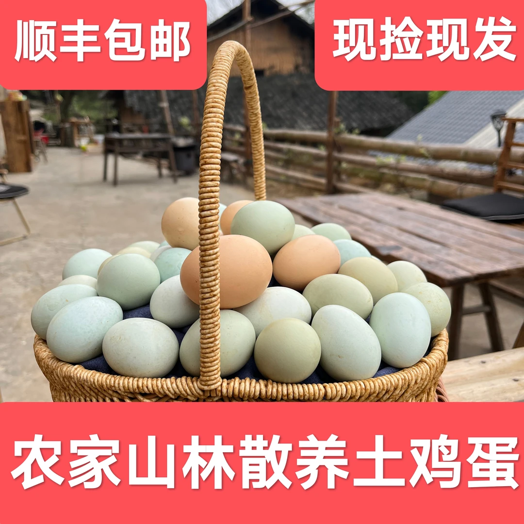 50枚【初生蛋】湖南山林散养土鸡蛋 现捡现发