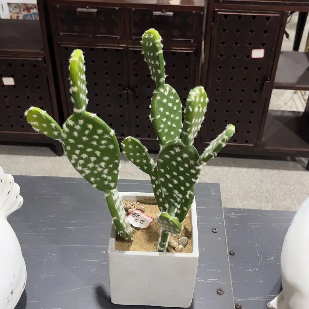 瓷片微瑕微瑕微瑕微瑕