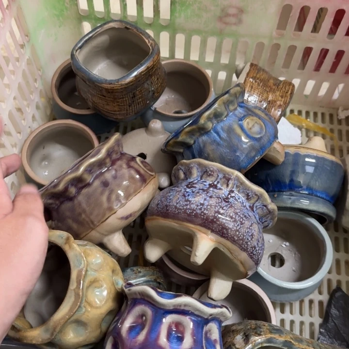 花盆花盆花盆花盆