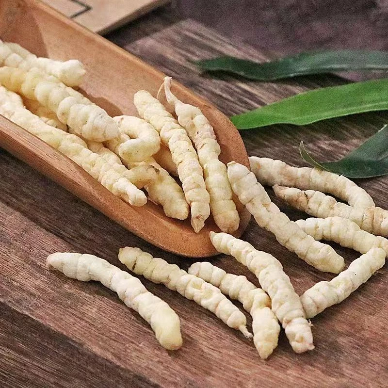 甄选优品珍藏【白虫草】500g   高兴专属