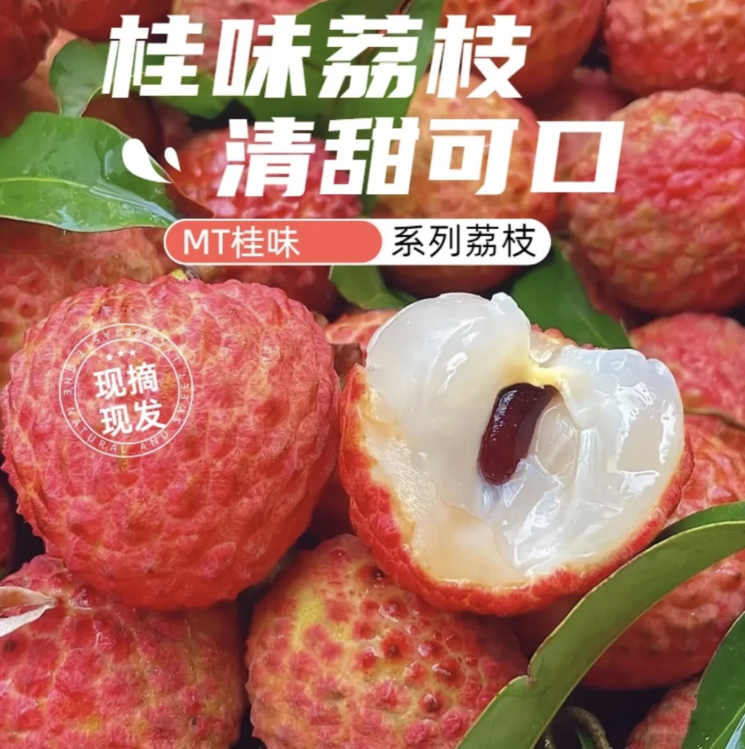 F2包邮！新鲜广西灵山桂味荔枝自带花香花皮应季多汁水果（带箱5斤）