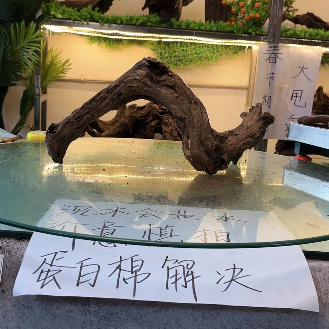 柚木沉木鱼缸造景