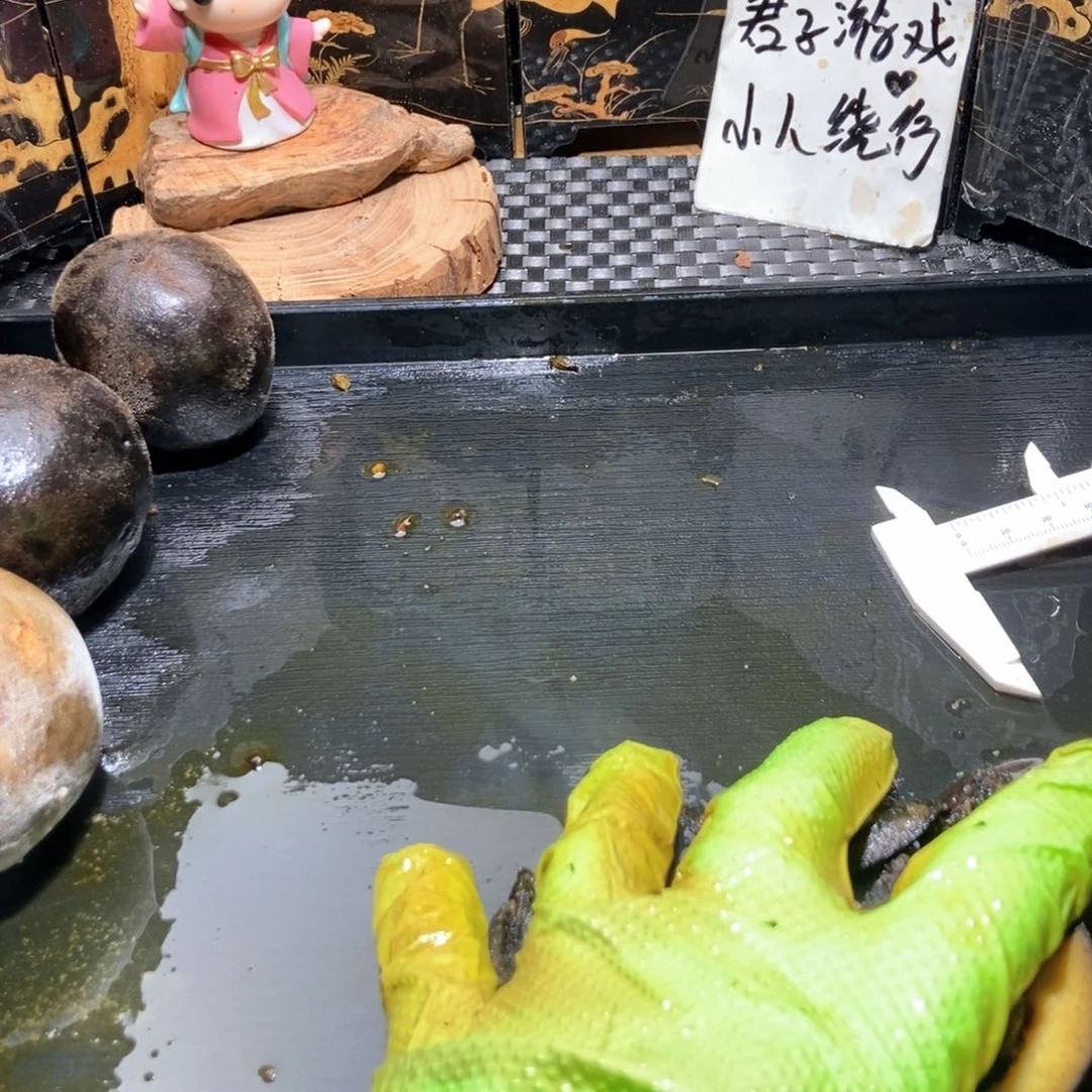 新鲜核桃啥也不保不退不换