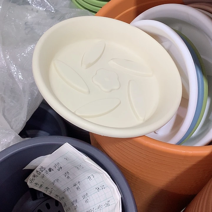 四季口15黄托盘10个