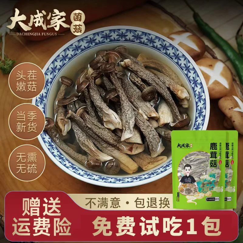 大成家菌菇农家高山鹿茸菇冬日火锅鲜嫩营养干货蘑菇炖汤美味脆爽
