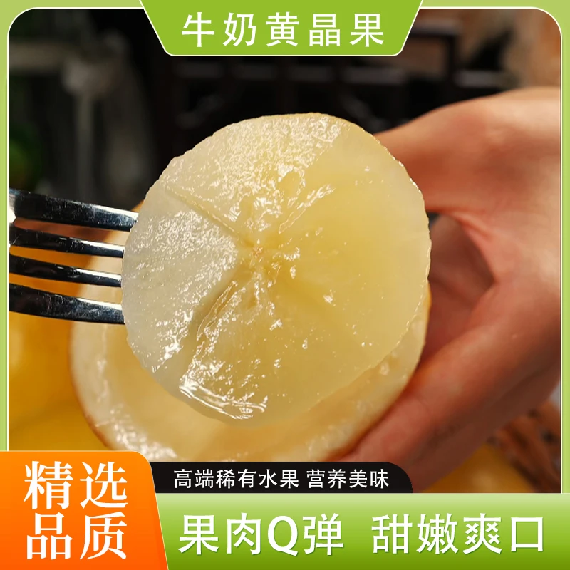 【京东特快】广东牛奶黄晶果稀有高端水果新鲜滑嫩多汁美味1斤起