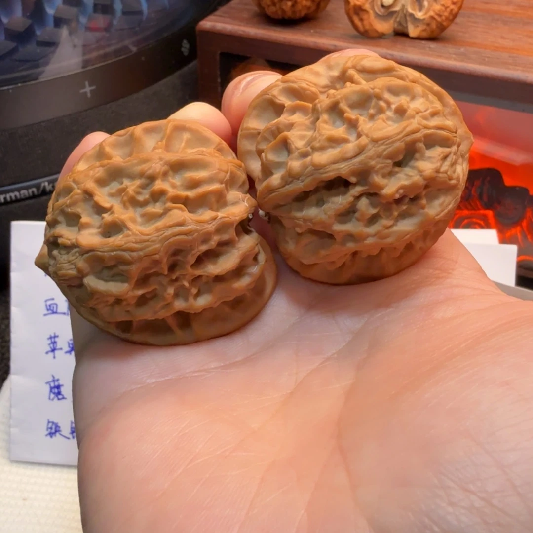 核桃40+全品山地梨木台