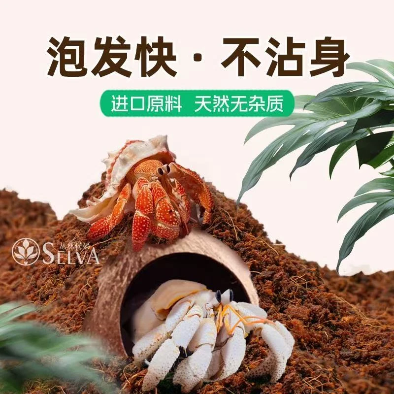 椰土爬宠爬虫寄居蟹专用