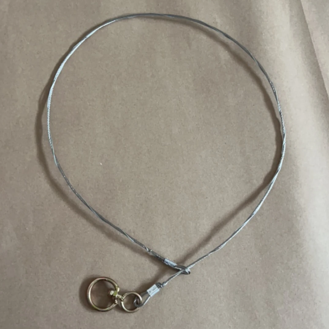 流浪狗止步器止步器