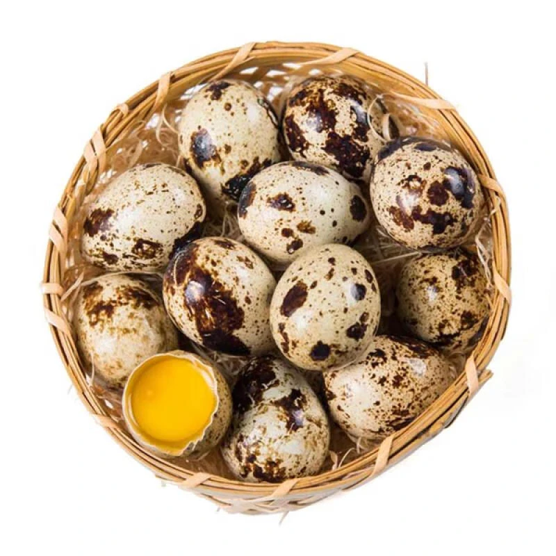 新鲜鹌鹑蛋 24枚装（约260g）