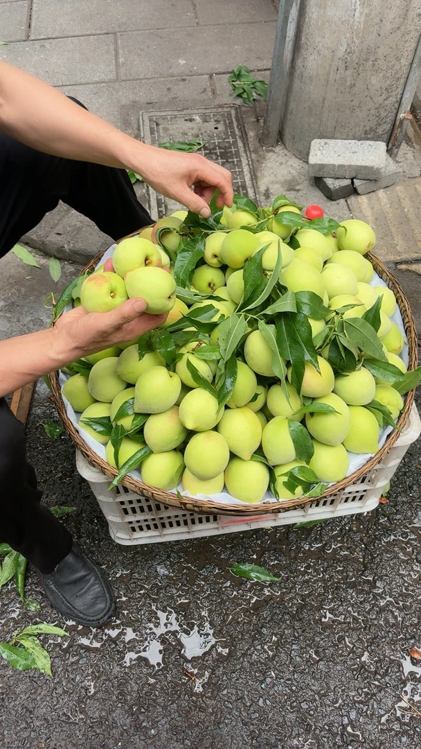 顺风快递）正宗百花桃新鲜当季水果果园现摘现发脆甜多汁