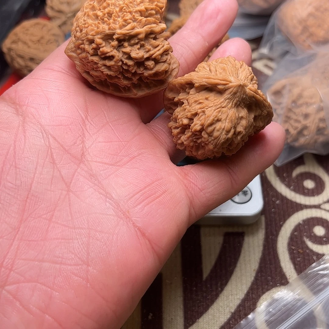 山***Y文玩核桃老树满天星