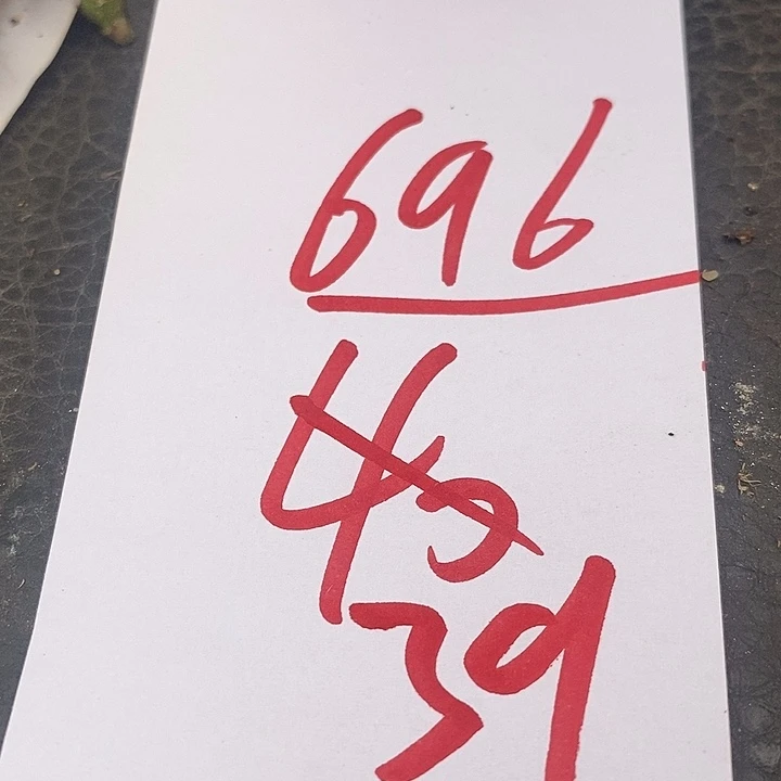 696一组一组一组