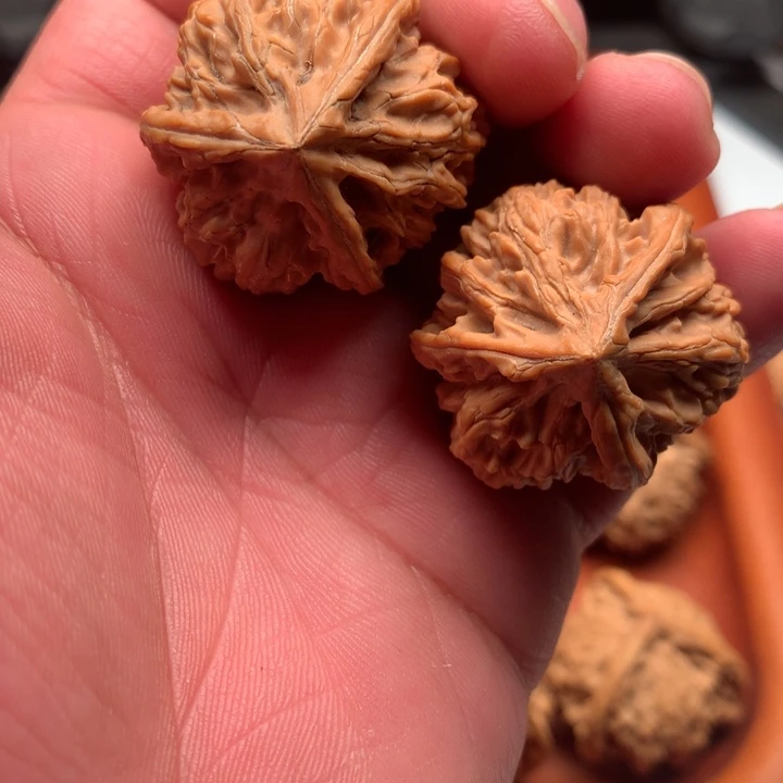 把件文玩核桃玉龙粗筋三棱