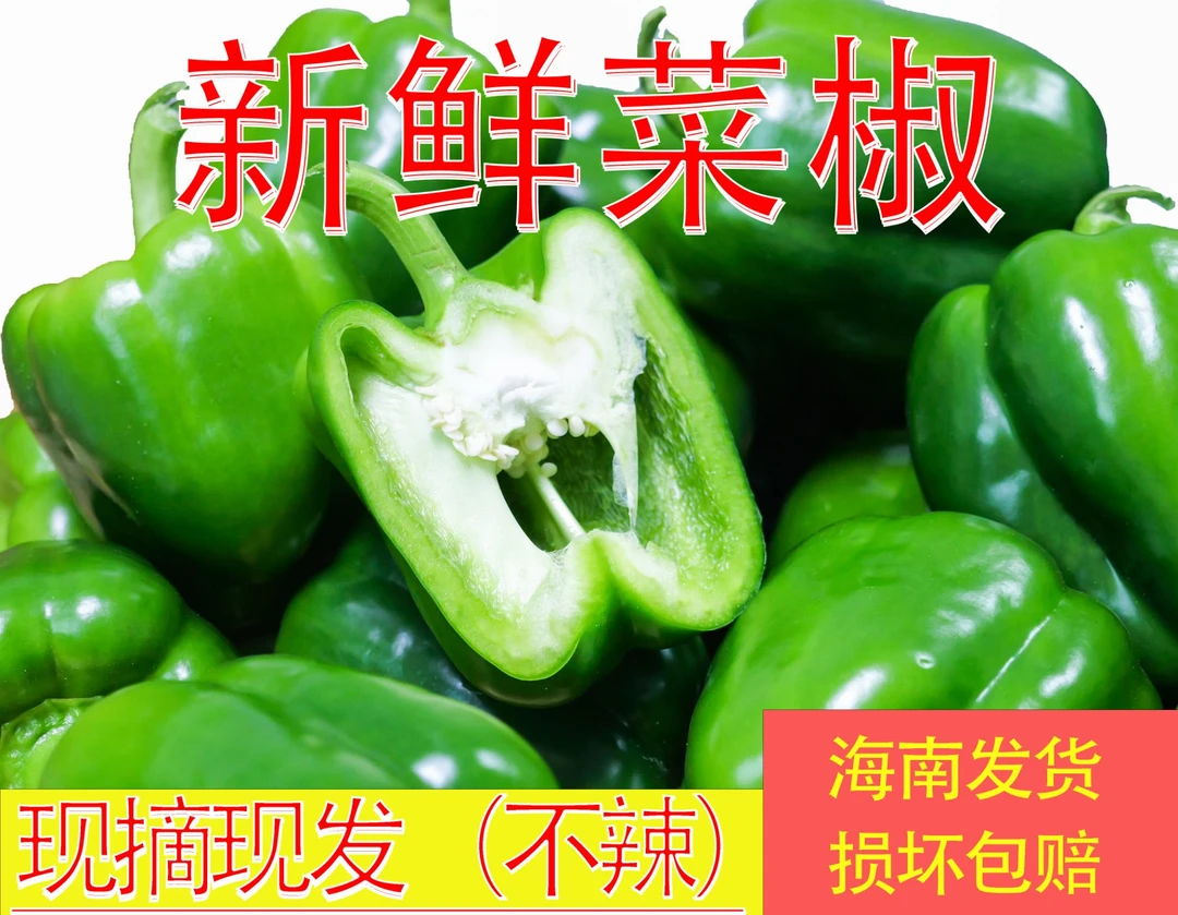海南本土菜椒反季【产地直发】新鲜青椒助农现摘现发 5斤装 10斤装