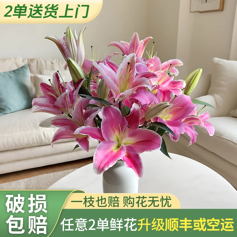 【源头优选老六】3头特红香水百合/元旦预热 任意2单鲜花升级快递