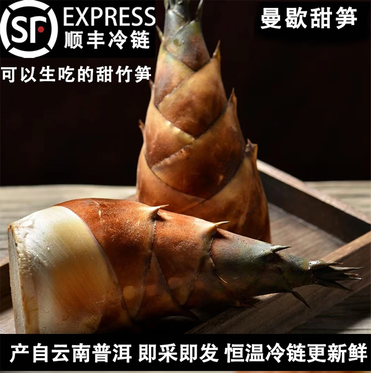 云南曼歇甜笋现摘现发普洱新鲜甜龙竹笋可生吃的甜笋单果400g以上