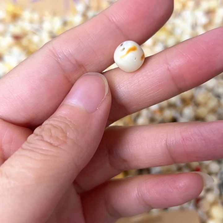蜜蜡未镶嵌裸石9.1mm一个