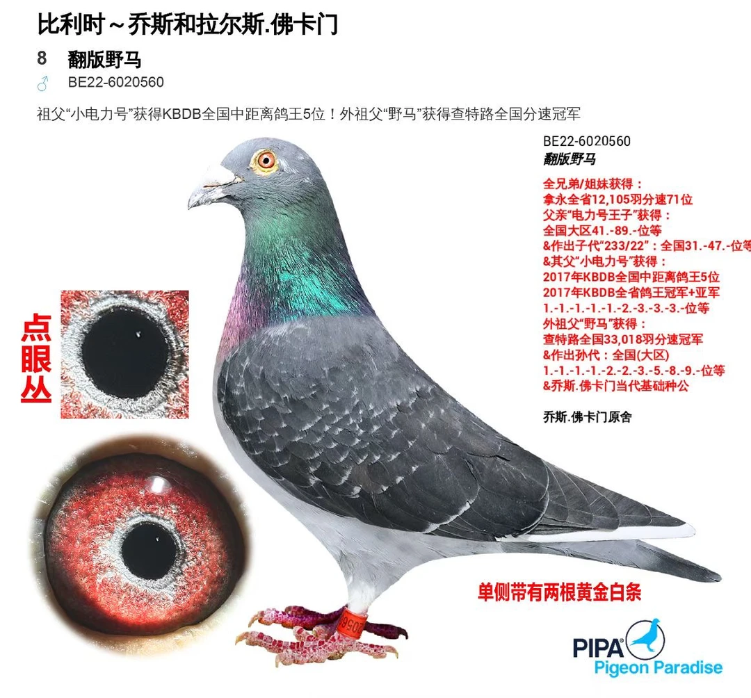 贵州500公里实战