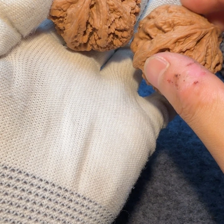 桃核吊坠大粗筋111