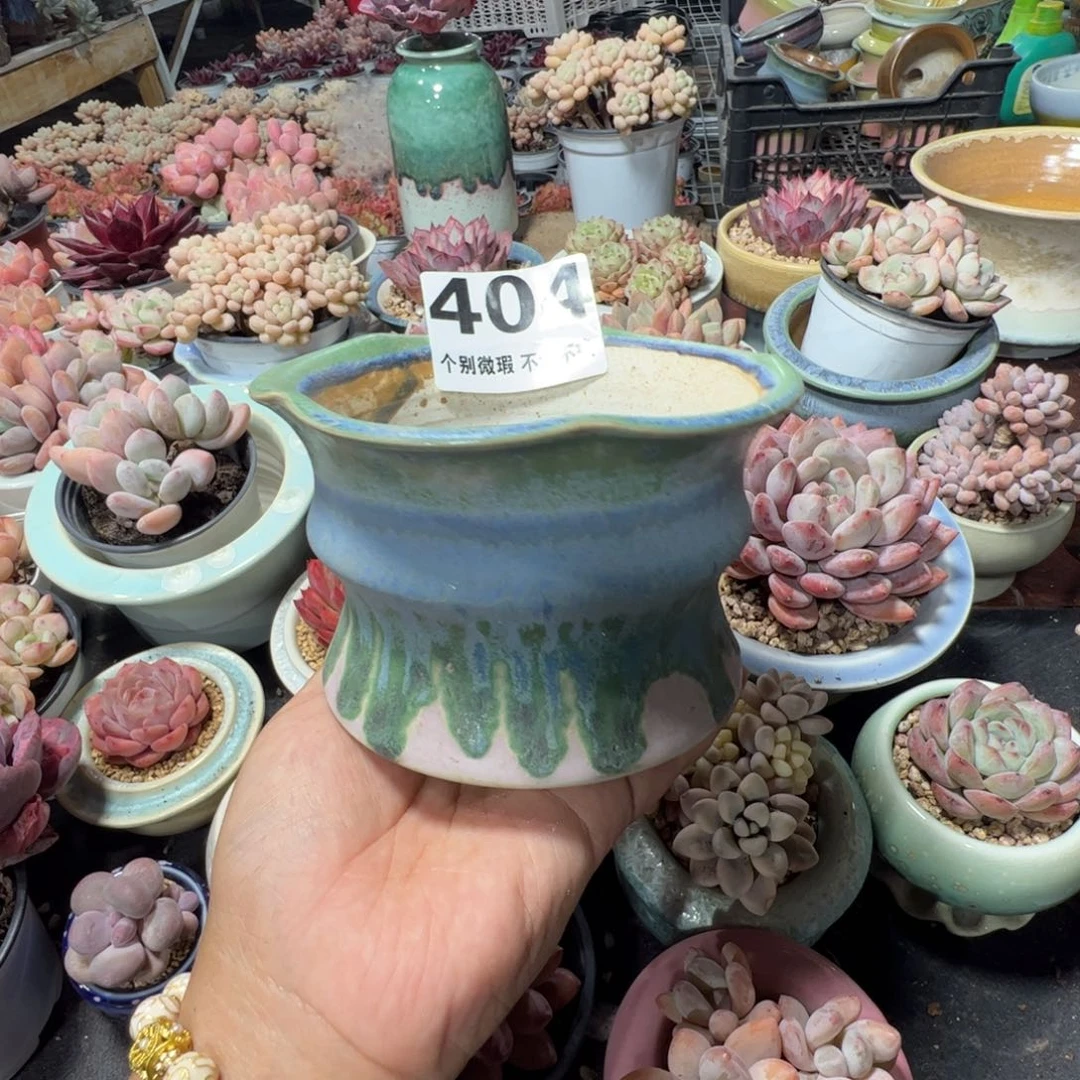 特价花盆满50发货 内口10