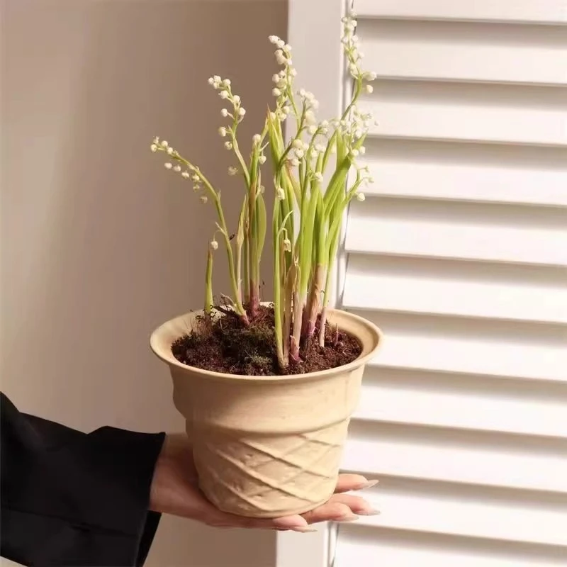 创意冰淇淋甜筒盆栽高颜值陶瓷花盆客厅桌面摆件礼物粗陶无釉手工