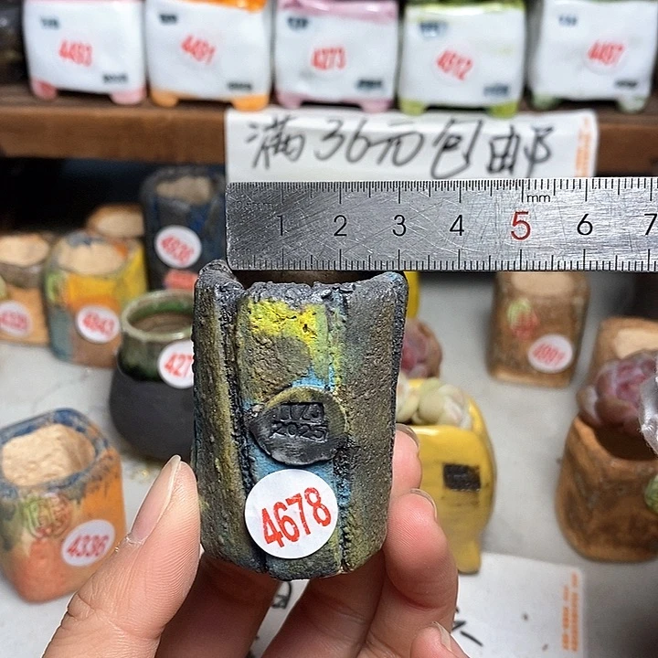 红陶拍5送一个小