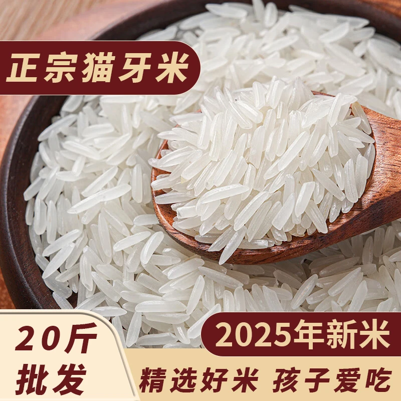 20斤猫牙米2025新大米优质香米正宗长粒香米家庭装一袋10公斤