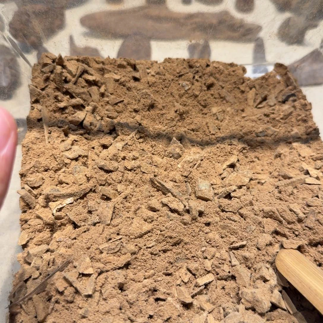 凛***冽斯里兰卡土沉沉香粉碎10克