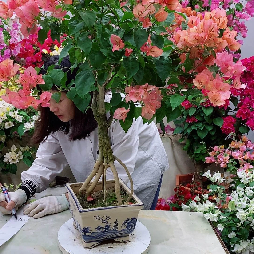 完全开放我要好好学习