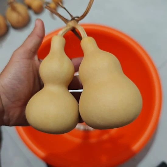 木桌面摆件一物一拍11