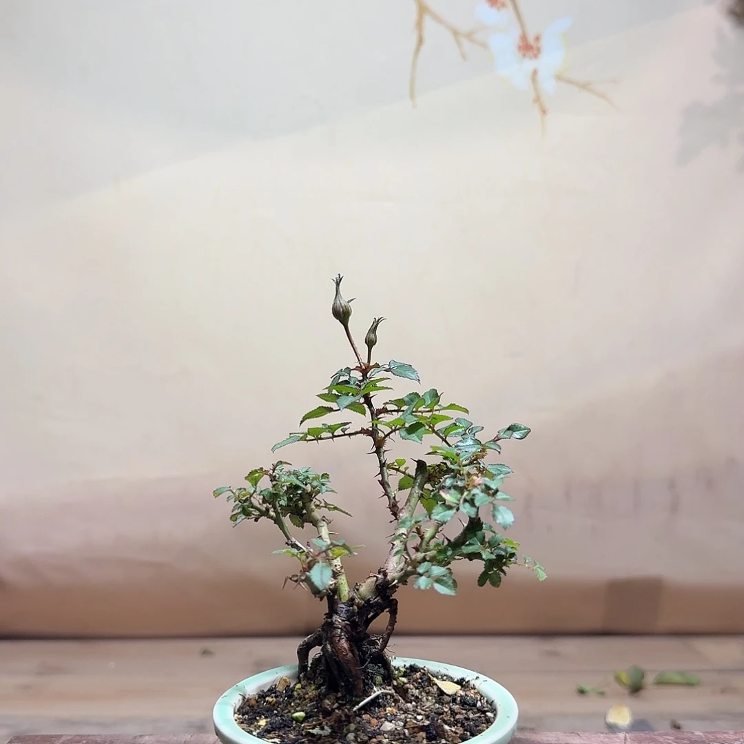 完全开放888888888888