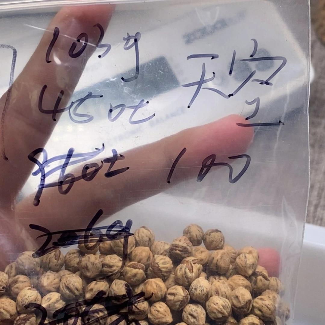 柏香籽/百香籽吊坠天**名